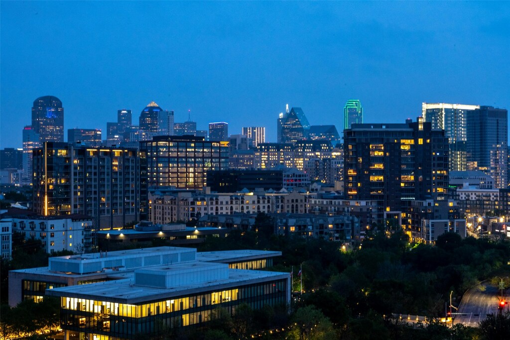 3225 Turtle Creek Blvd Unit 1214, Dallas, TX 75219 - view of city