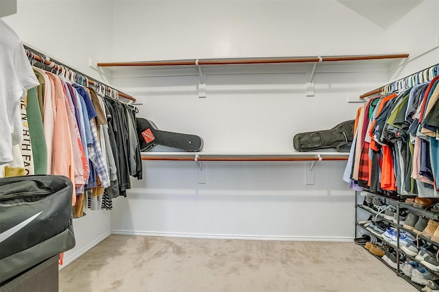 spacious closet featuring carpet