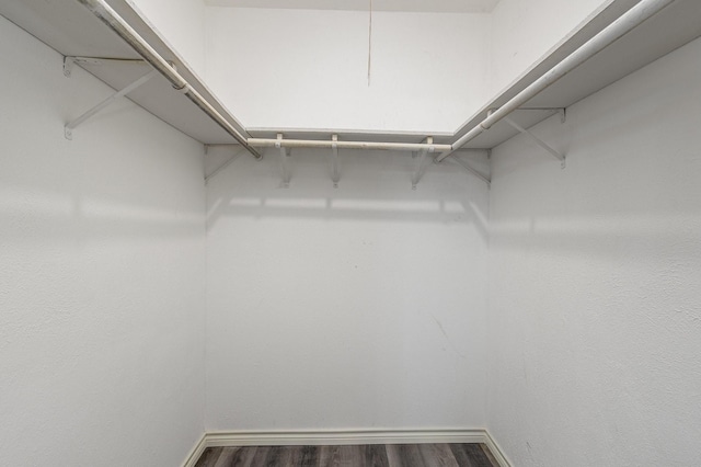 2306 Ravenwood Dr, Grand Prairie, TX 75050 - walk in closet with dark wood-style floors