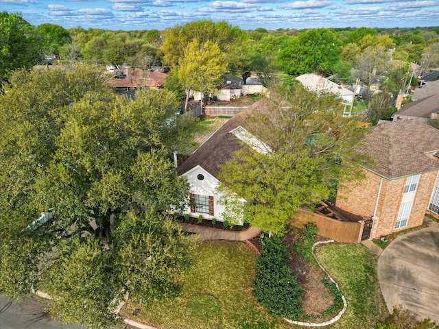 bird's eye view