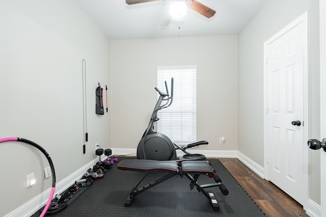 1609 W Alamosa Dr, Talty, TX 75160 - workout area with baseboards, a ceiling fan, and dark wood-style flooring