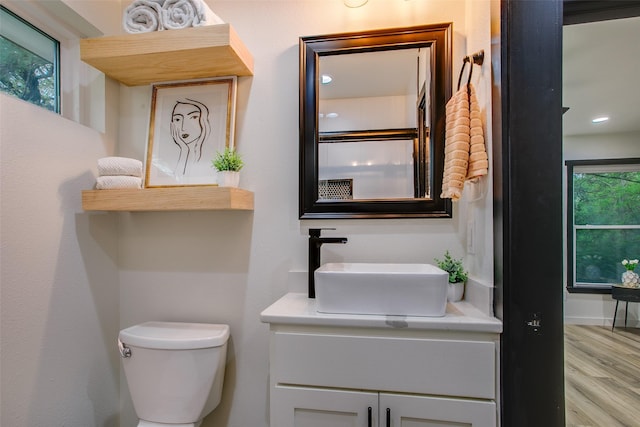 bathroom featuring a wealth of natural light, toilet, vanity, and wood finished floors