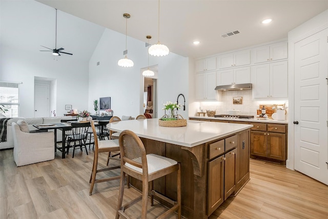 1512 Trailblazer Way, Northlake, TX 76247 - kitchen featuring open floor plan, backsplash, a sink, light wood finished floors, and high vaulted ceiling