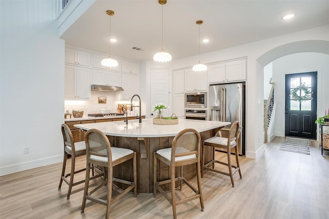 1512 Trailblazer Way, Northlake, TX 76247 - kitchen featuring stainless steel appliances, under cabinet range hood, baseboards, backsplash, and arched walkways