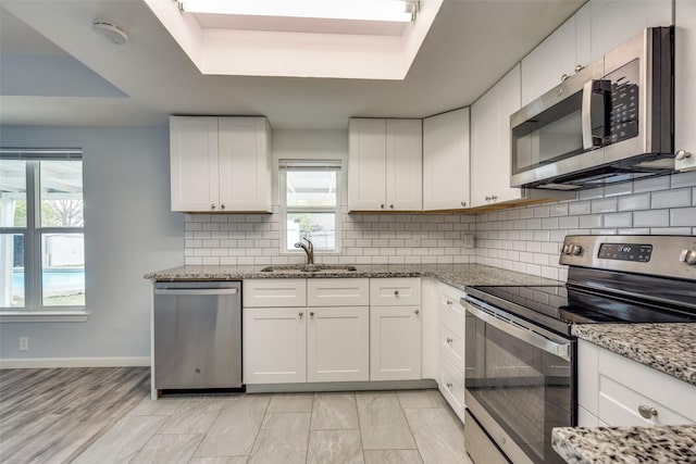 2828 Elk Grove Rd, Carrollton, TX 75007 - kitchen with stainless steel appliances, a sink, a tray ceiling, and plenty of natural light