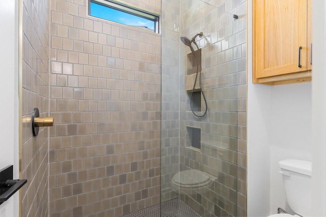 12479 Palmer Dr, Fort Worth, TX 76179 - bathroom with toilet and a walk in shower