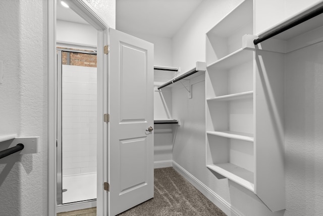 825 Blackhorse Trl, Fort Worth, TX 76247 - spacious closet featuring dark colored carpet