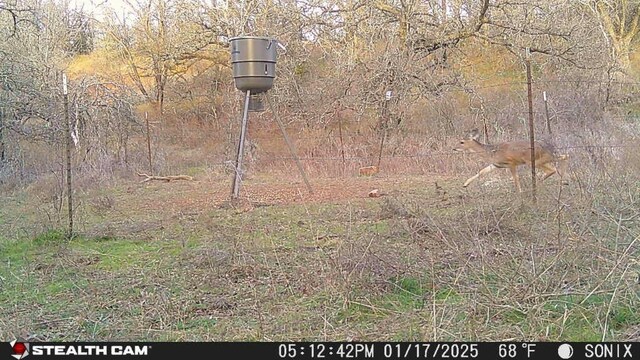 5ACRETBD Slusher Rd, Jacksboro, TX 76458
