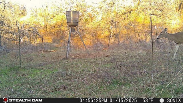 5ACRETBD Slusher Rd, Jacksboro, TX 76458