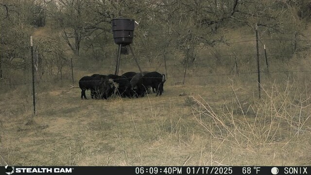 5ACRETBD Slusher Rd, Jacksboro, TX 76458