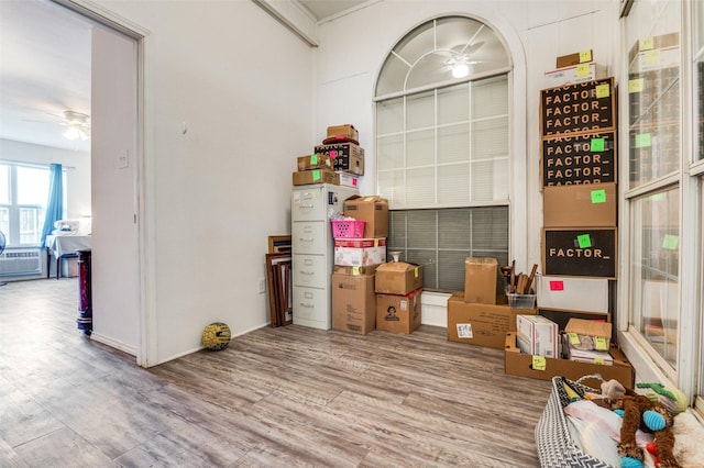 storage featuring a ceiling fan