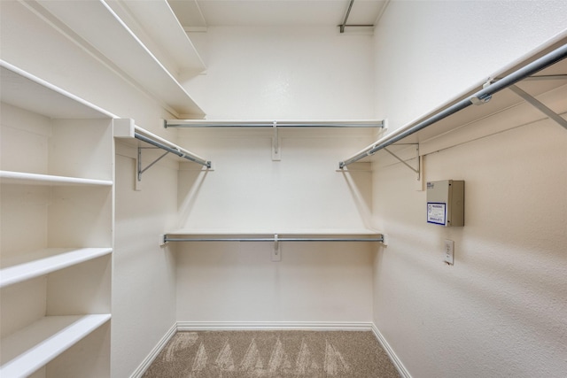2212 Stone Creek Dr, Mckinney, TX 75072 - walk in closet with carpet