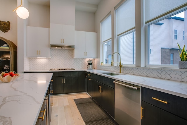 kitchen featuring under cabinet range hood, a sink, stainless steel appliances, and dark cabinetry