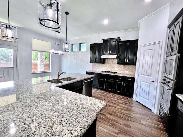 208 Equestrian Ln, Hickory Creek, TX 75065 - kitchen with dark cabinets, appliances with stainless steel finishes, under cabinet range hood, tasteful backsplash, and light stone countertops