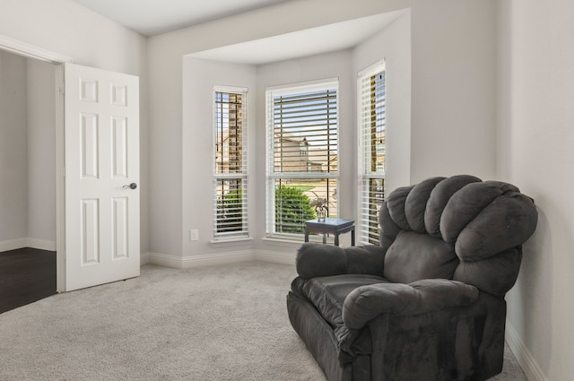 6417 Belhaven Dr, Fort Worth, TX 76123 - living area featuring carpet, baseboards, and a healthy amount of sunlight
