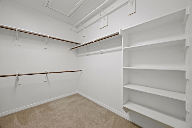 spacious closet with light colored carpet