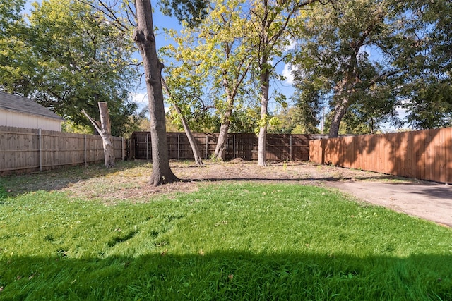 1623 Lansford Ave, Dallas, TX 75224 - view of yard featuring a fenced backyard