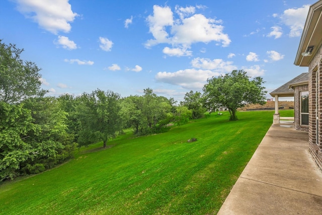 view of yard