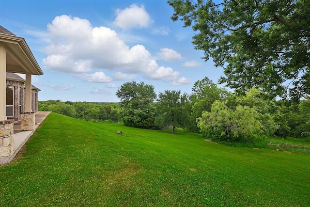 view of yard with a patio area