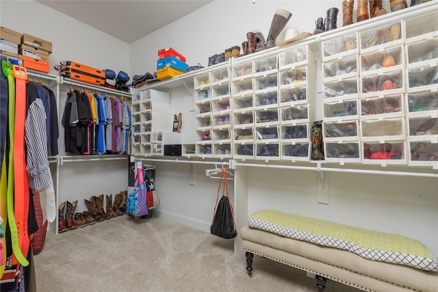 749 Lazy Brooke Dr, Rockwall, TX 75087 - walk in closet featuring carpet