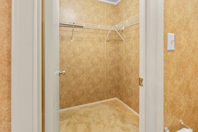 spacious closet featuring carpet flooring