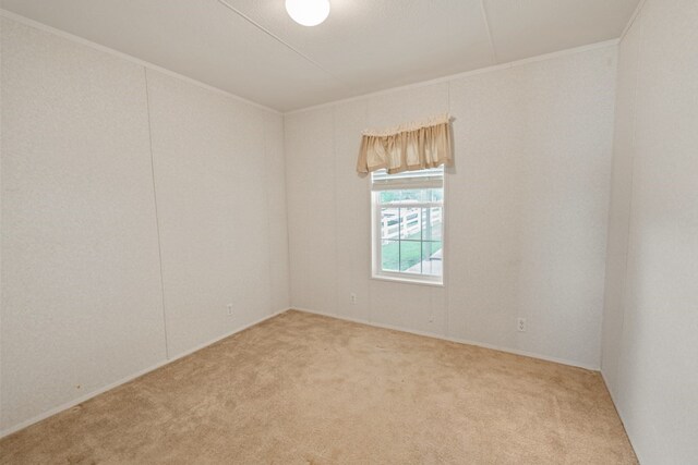 unfurnished room featuring crown molding and carpet