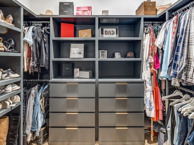 view of spacious closet