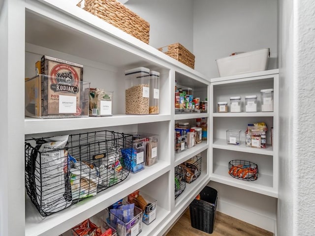 view of pantry