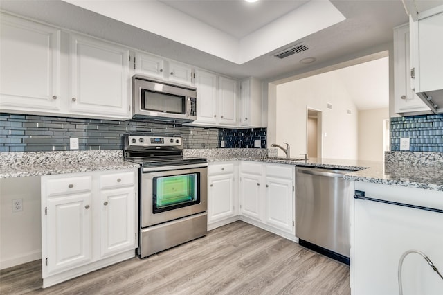 4539 N O Connor Rd Unit 2233, Irving, TX 75062 - kitchen featuring appliances with stainless steel finishes, a sink, light wood-type flooring, and light stone counters