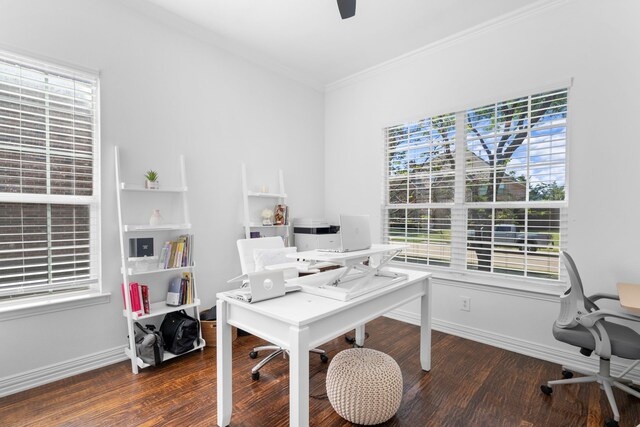 1891 Mustang Trl, Frisco, TX 75033 - home office featuring wood finished floors, ornamental molding, and healthy amount of natural light