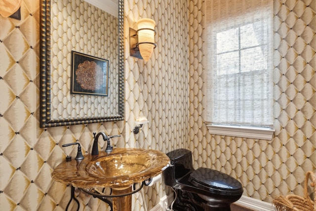 half bath featuring a wealth of natural light, toilet, and a sink