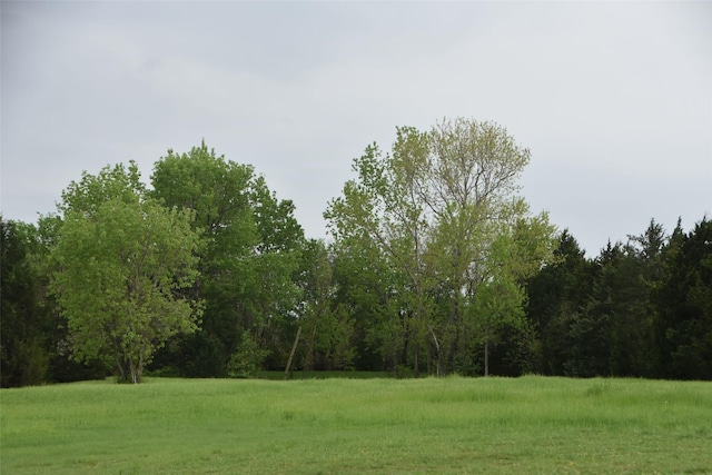 312 E Tripp Rd, Sunnyvale, TX 75182 - view of yard featuring a forest view
