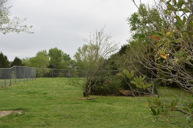 312 E Tripp Rd, Sunnyvale, TX 75182 - view of yard