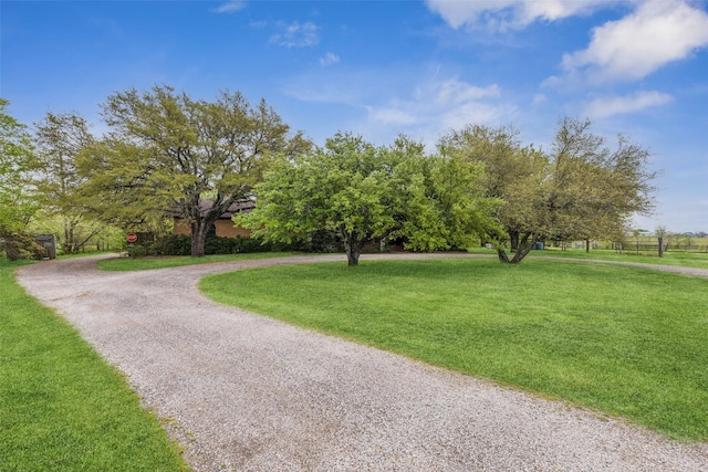view of community featuring curved driveway and a lawn