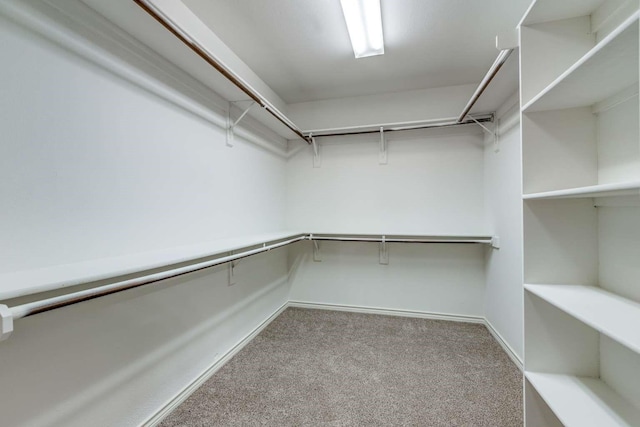 845 County Road 490, Princeton, TX 75407 - walk in closet with carpet