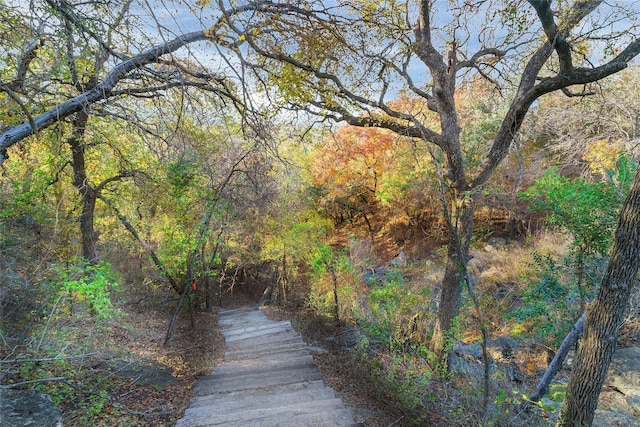 surrounding community featuring a wooded view