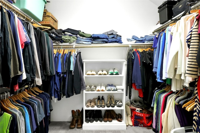 14649 Martin Creek Cv, Fort Worth, TX 76262 - spacious closet with carpet