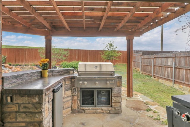 14649 Martin Creek Cv, Fort Worth, TX 76262 - fenced backyard featuring a patio area and a pergola