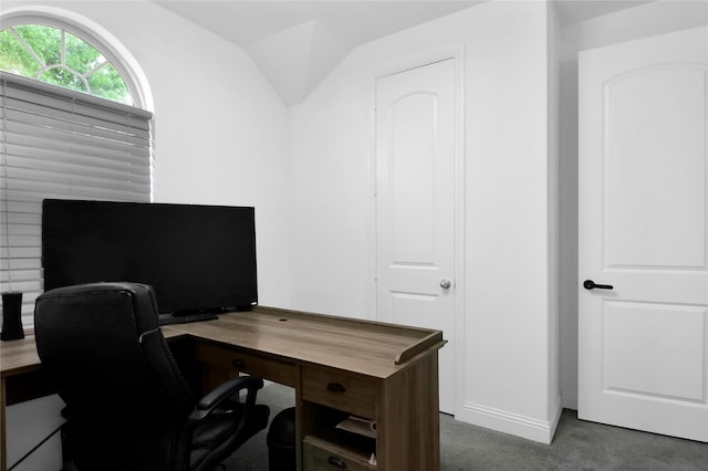 14649 Martin Creek Cv, Fort Worth, TX 76262 - office space featuring dark colored carpet, lofted ceiling, and baseboards