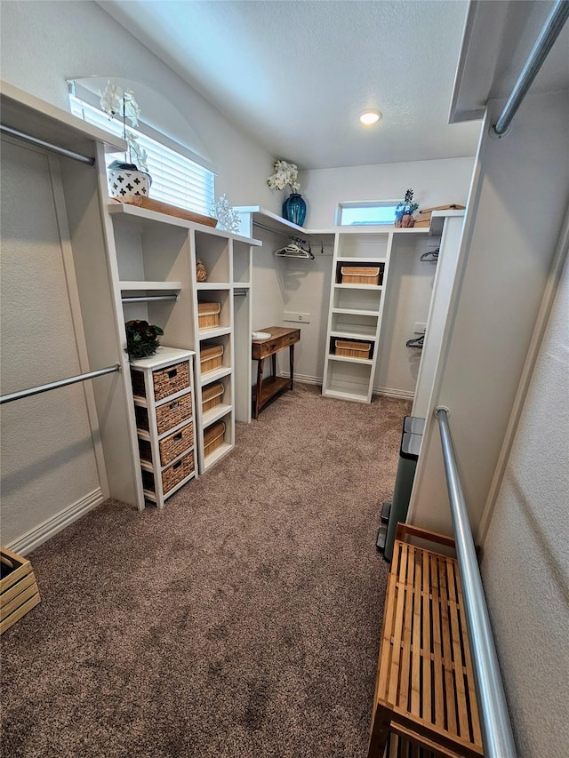 4805 Saddleback Ln, Wichita Falls, TX 73608 - walk in closet with carpet floors