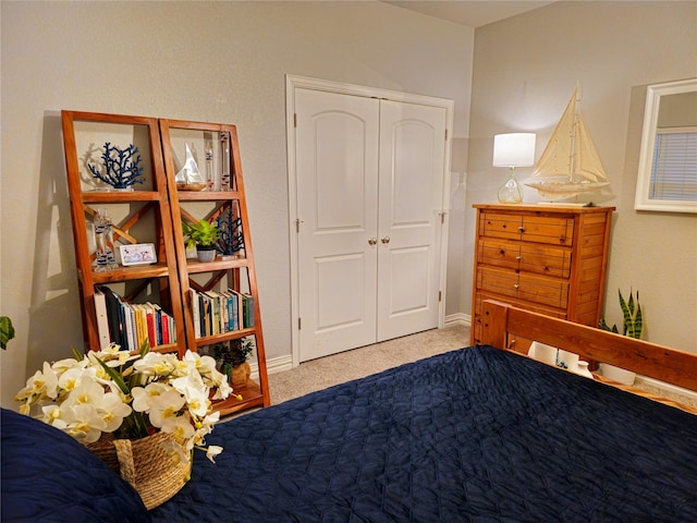 4805 Saddleback Ln, Wichita Falls, TX 73608 - bedroom featuring carpet floors, a closet, and baseboards