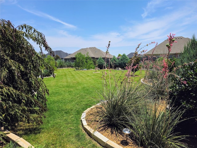 4805 Saddleback Ln, Wichita Falls, TX 73608 - view of green lawn
