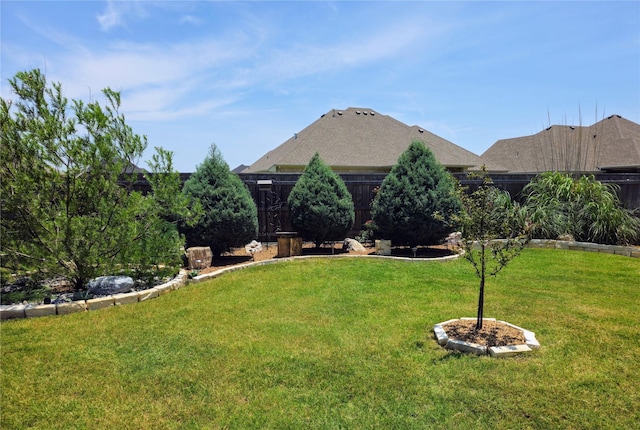 4805 Saddleback Ln, Wichita Falls, TX 73608 - view of yard