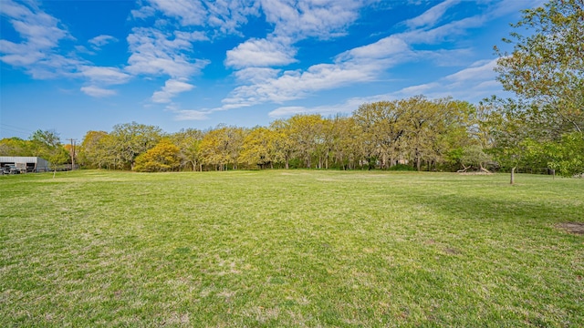 169 Star Point Ln, Weatherford, TX 76088 - view of yard