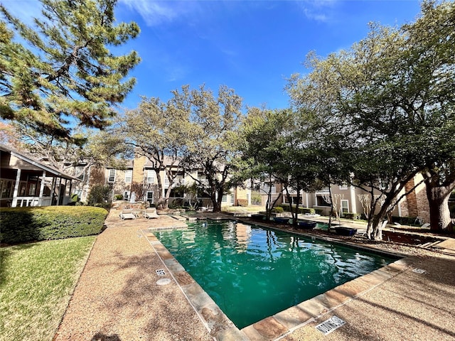 view of swimming pool featuring a patio