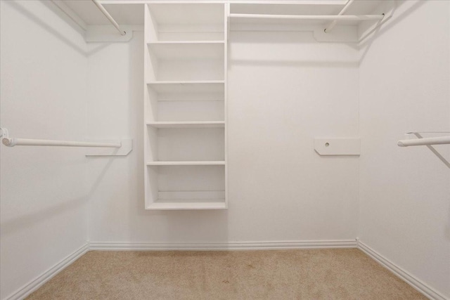 spacious closet with carpet floors