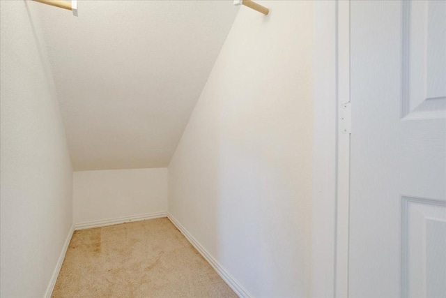 spacious closet with lofted ceiling and light carpet