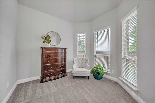 living area with baseboards and carpet flooring