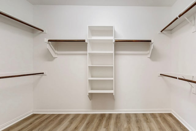 walk in closet featuring wood finished floors