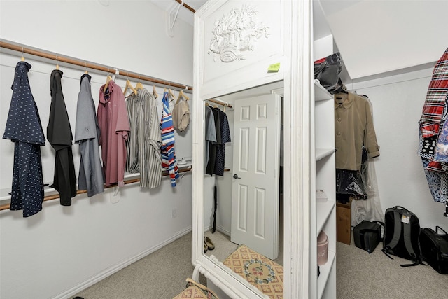 spacious closet featuring carpet floors